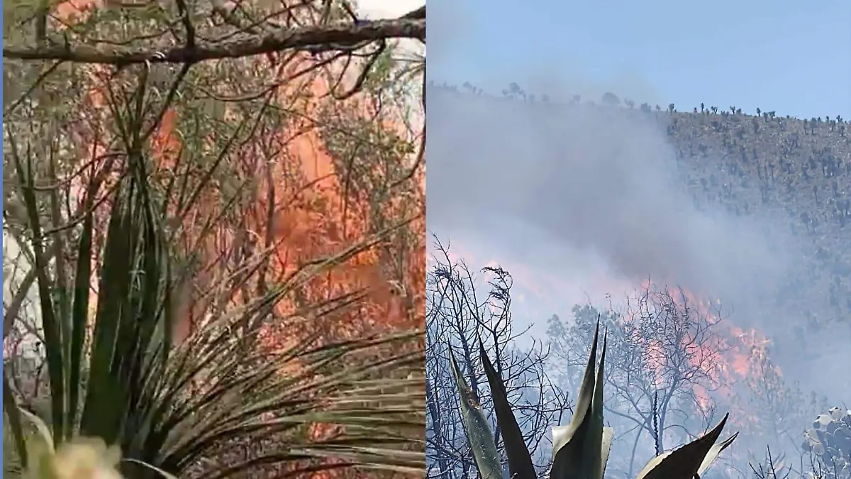 Fuerte incendio en un cerro en Payuca, municipio de Cuyoaco